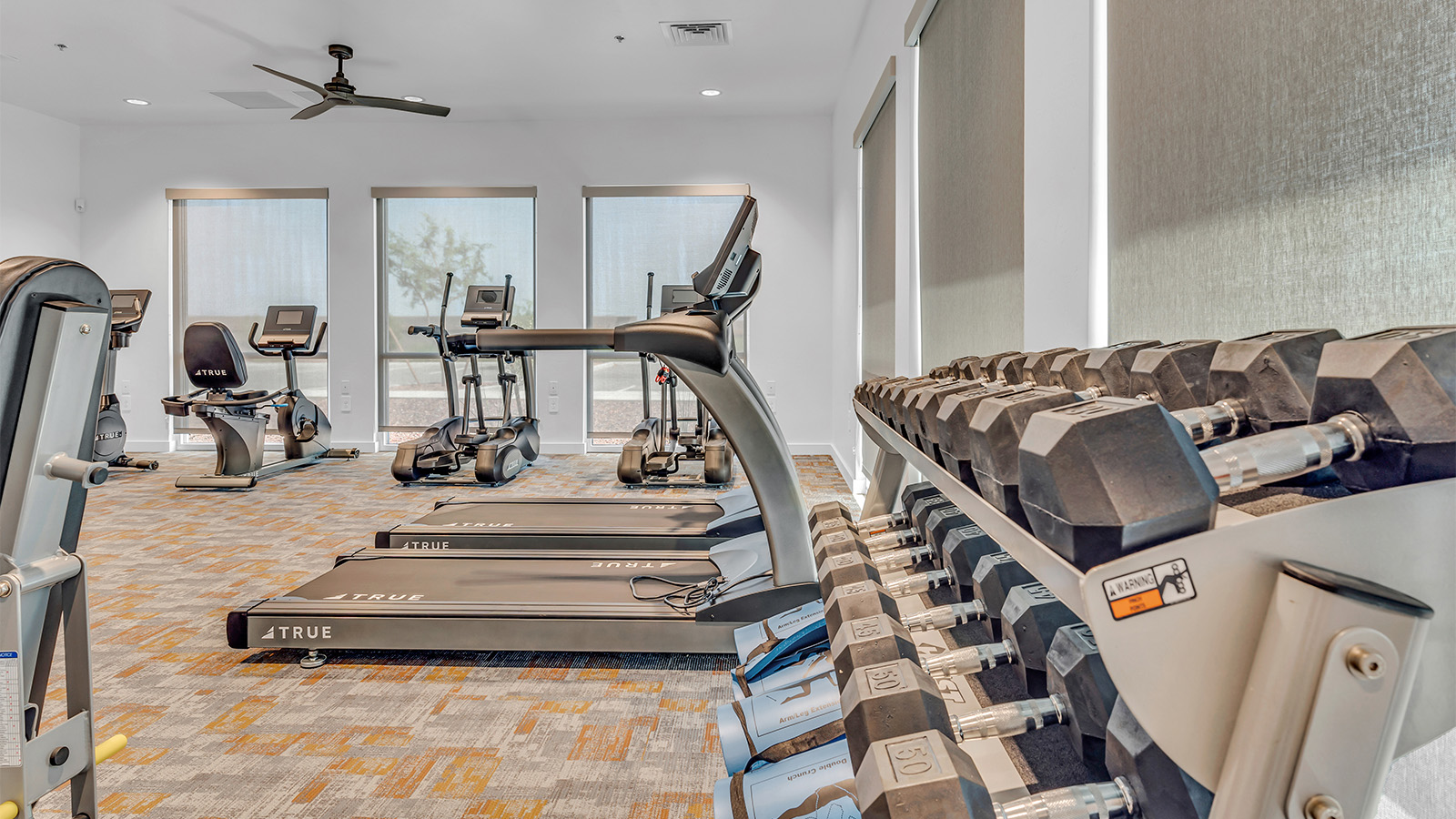 Welcome to The Aloe, a thoughtfully designed new floor plan within Coronet at Gladden Farms Community in Marana, Arizona. Offering 1,310 square feet of efficient and comfortable living space, The Aloe is ideal for those seeking a home that blends functionality, modern style, and everyday ease.  Upon entry, you’re welcomed into an open-concept layout that maximizes every square foot. The large great room serves as the heart of the home and flows seamlessly into the dining area and kitchen—perfect for both relaxing and entertaining. The kitchen is beautifully appointed with a central island, quartz countertops, Shaker-style cabinetry, and a dedicated pantry, creating a clean, modern aesthetic with ample storage and workspace.  The Aloe features three well-proportioned bedrooms designed for comfort and flexibility. The private primary suite is tucked away at the rear of the home and includes a walk-in closet and en-suite bathroom. Two additional bedrooms are located near the front of the home.  Designed with convenience in mind, the home includes a utility room near the kitchen, offering easy access to laundry and additional storage. A covered back patio extends the living space outdoors, providing the perfect setting to enjoy Gladden Farms beautiful weather and scenic surroundings.  Living at Coronet at Gladden Farms means enjoying a community that values both comfort and outdoor adventure. With access to 830 acres of green space, parks, playgrounds, and exclusive amenities like a sparkling pool, fitness center, and clubhouse, this community is perfect for families and active lifestyles.