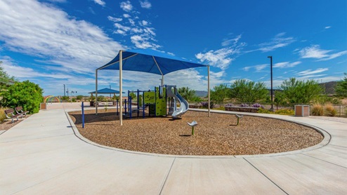 Explore New Homes at Saguaro Bloom by D.R. Horton – A Master-Planned Community in Marana, AZ. Nestled in the foothills of the breathtaking Tucson Mountains, Saguaro Bloom by D.R. Horton is a premier master-planned community in Northwest Marana that offers an exceptional living experience. Saguaro Bloom is divided into distinct neighborhoods, each offering its unique charm and amenities. *Mesquite at Saguaro Bloom* is located in Block 1 and offers a variety of spacious floorplans with 18x18 tile flooring, granite countertops in kitchen and bathrooms, and Shaker-style cabinets in white or gray. These homes feature 9’ ceilings on the first floor, island kitchens, and the Home is Connected® Smart Home package, making them perfect for modern living. *Agave at Saguaro Bloom*, situated in Block 7C, features homes with stunning 6x36” wood-look tile in gray, quartz countertops in kitchen and bathrooms, and Shaker-style cabinets. These homes are designed with stylish interiors and modern conveniences, including LED disc lighting and energy-efficient tankless water heaters. *Cholla Ridge at Saguaro Bloom*, located in Block 7B, offers single-story homes on lots with no rear neighbors. These homes are distinguished by beautiful 12x24” tile flooring, gourmet kitchens, and 10’ ceilings in select homes. With 8’ sliding glass patio doors and super showers, Cholla Ridge combines luxury and privacy in a serene setting. All homes in Saguaro Bloom are built with a Spanish lace stucco exterior, tile roofs, landscaped front yards with auto drip irrigation, and large, fully fenced backyards ready for your design. The homes also include covered front porches and back patios, stainless steel gas appliances, and executive height vanities in all bathrooms. Additionally, as of August 2024, all homes starting production are Zero Energy Ready, meeting rigorous energy efficiency standards that significantly reduce energy costs and environmental impact. Residents of Saguaro Bloom enjoy an array of community amenities, including a clubhouse, two pools with lap lanes and lagoon entry, a fitness center, a splash pad, and over 30 miles of walking trails. The community also features more than 20 pocket parks, playgrounds, and coming soon, a large community park with tennis, pickleball, soccer, baseball, and a dog park. Saguaro Bloom is truly a lifestyle community, offering regular events like Food Truck Thursdays, Movies at the Pool, and holiday decorating contests, all fostering a strong sense of community. Located in the highly-rated Marana Unified School District, Saguaro Bloom is close to excellent schools, including Rattlesnake Ridge Elementary, Marana Middle School, and Marana High School. The community’s location offers a perfect balance of seclusion and convenience, with quick access to I-10, grocery stores, restaurants, and the Twin Peaks Outlet, all within minutes. Downtown Tucson, with its vibrant arts, culture, and entertainment scene, is just a short 15-minute drive away. Surrounded by the natural beauty of the desert landscape, residents can explore nearby outdoor attractions like Saguaro National Park West, the Arizona Desert Museum, and Quarry Pines Golf Course. Whether you enjoy hiking, biking, or simply taking in the stunning views, Saguaro Bloom offers an unparalleled lifestyle in one of Arizona’s most sought-after locations. Discover the perfect blend of modern amenities, scenic beauty, and a strong sense of community at Saguaro Bloom by D.R. Horton – where your new home awaits in Marana, AZ.
