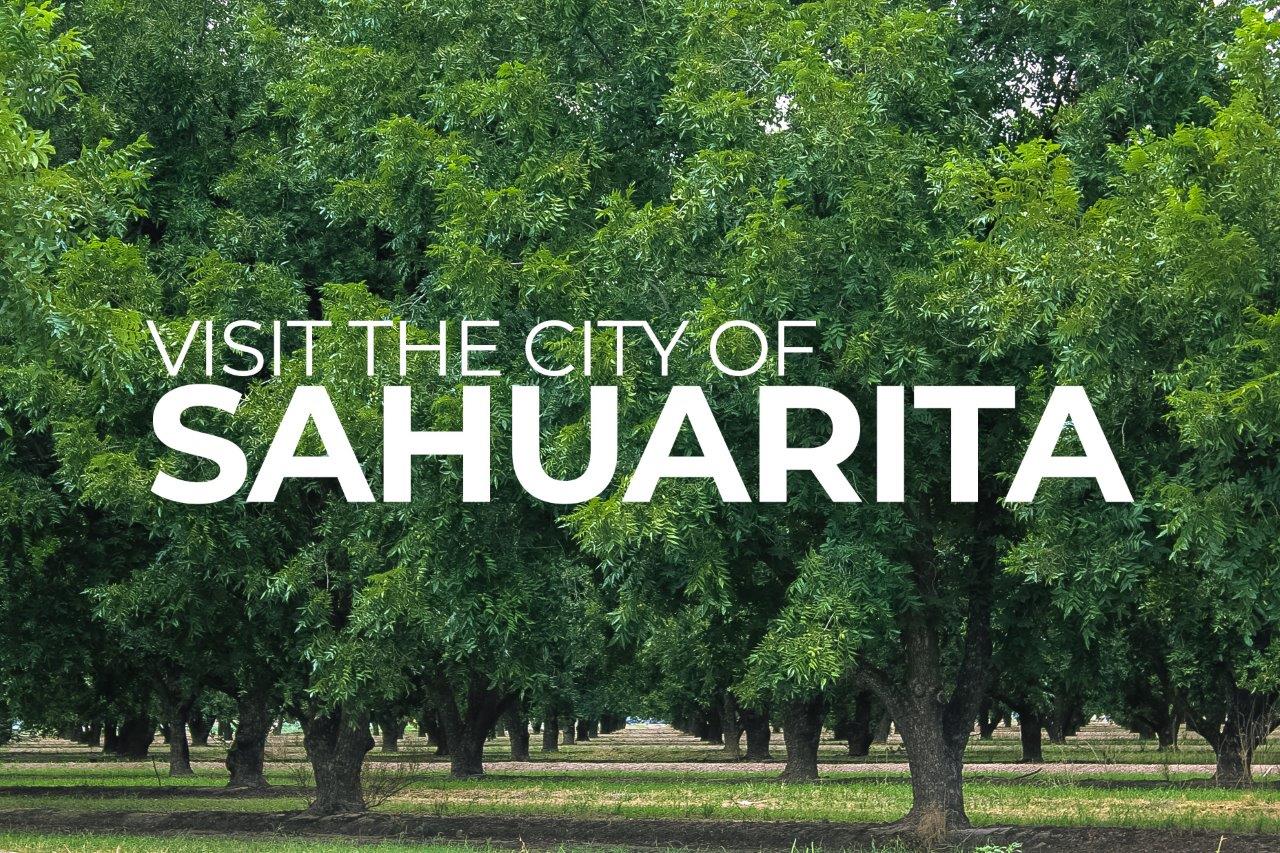 Floor Plan in Sahuarita Acres Sahuarita, AZ D.R. Horton