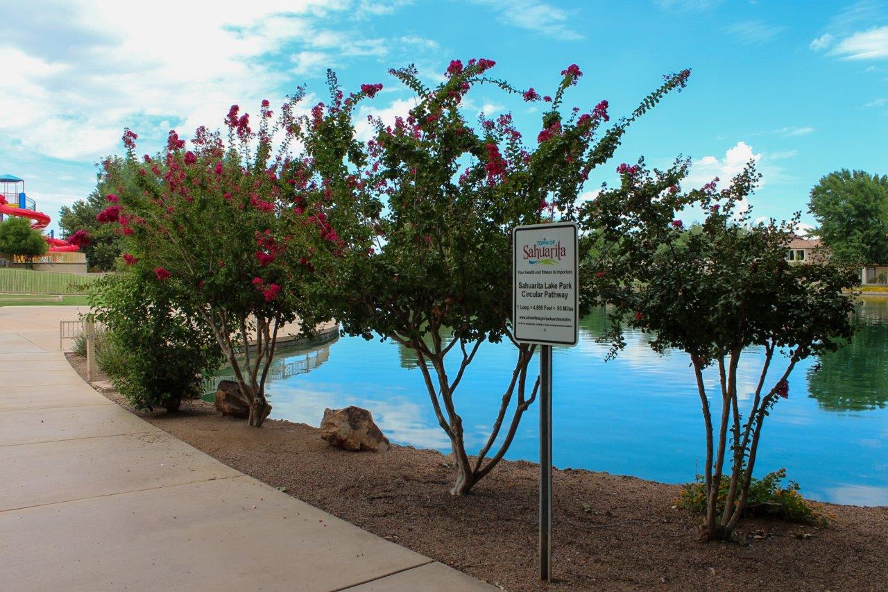 Floor Plan in Sahuarita Acres Sahuarita, AZ D.R. Horton