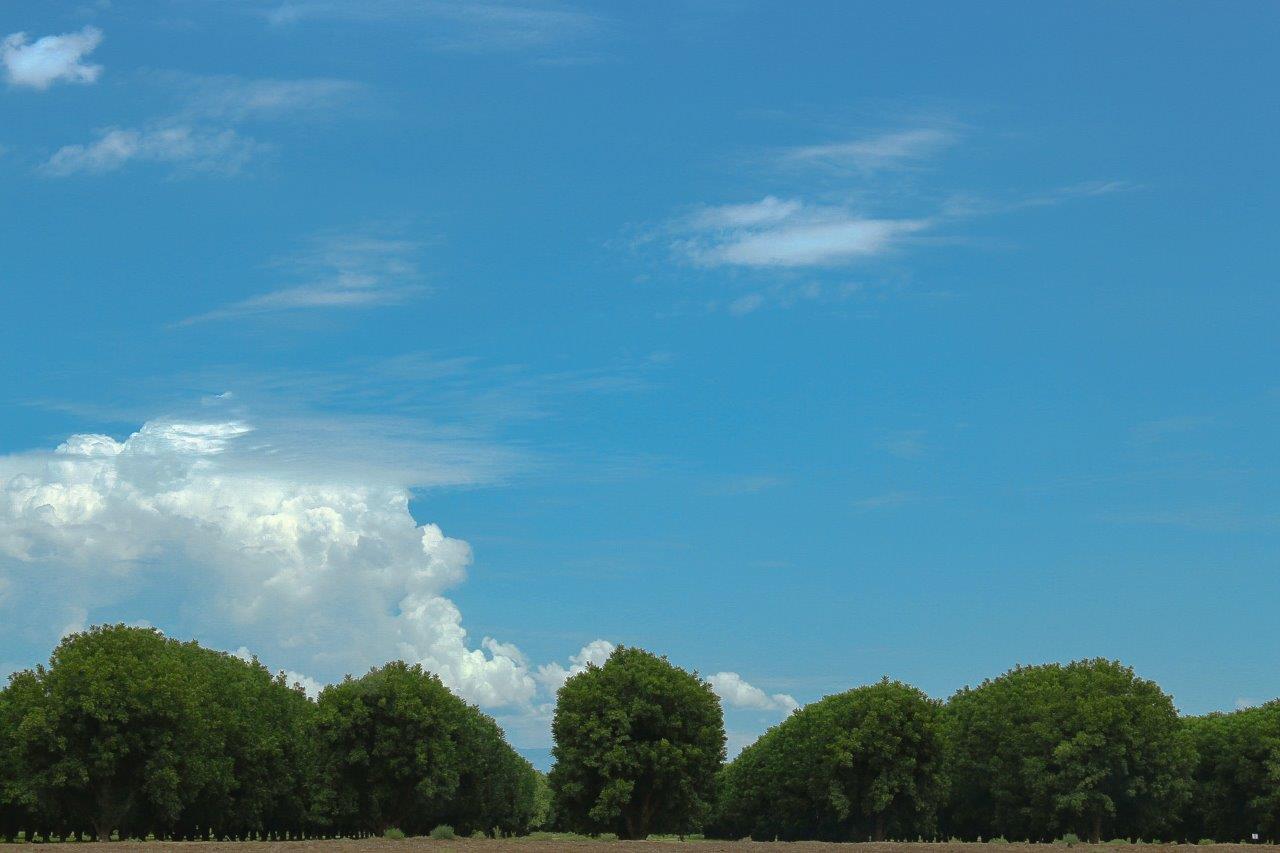 Floor Plan in Sahuarita Acres Sahuarita, AZ D.R. Horton