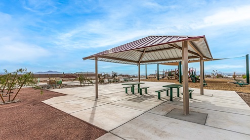 Welcome to Tortolita Trails, where new homes by D.R. Horton blend luxury and nature in the prestigious Dove Mountain area of Marana, Arizona. This exclusive community offers a serene living experience with only 82 homesites spread across 30 spacious acres, ensuring a low-density environment that provides ample privacy and tranquility. Surrounded by breathtaking 360-degree views of the Tortolita and Catalina Mountains, Tortolita Trails is a nature lover’s dream, with easy access to numerous trailheads, parks, and outdoor activities. Tortolita Trails features six charming single-story floor plans, ranging from 1,400 to 1,900 square feet, each crafted with high-quality finishes and modern amenities. Homes in this community feature spacious lots, beautiful Spanish lace stucco exteriors, tile roofs, and exquisitely landscaped front yards with auto drip irrigation. Inside, you’ll find luxurious quartz countertops in the kitchens and bathrooms, tile shower walls, 42” shaker-style cabinets, and stunning wood-look tile flooring throughout the main living areas. Each home is designed for comfort and convenience, with 9-foot ceilings, recessed lighting, and a Home is Connected® Smart Home package that includes a smart thermostat, video doorbell, keyless entry, a Wi-Fi-enabled garage door opener and more. These homes are not only stylish but also energy-efficient, meeting the stringent DOE Zero Energy Ready Home standards. Equipped with tankless water heaters, energy-efficient LED lighting, and advanced spray foam insulation, these homes are designed to reduce your environmental footprint while providing long-term savings on energy costs. Additionally, each home includes a single basin stainless steel kitchen sink with a water filtration system and a soft water loop for enhanced water quality. Living in Tortolita Trails means being part of a community that values both elegance and connection to nature. The community offers a range of amenities, including a park, playground, walking paths, ramadas, and grassy areas with picnic benches, perfect for family gatherings and outdoor activities. The prestigious Golf Club at Dove Mountain and the 5-star Ritz Carlton Resort are just minutes away, offering world-class golfing, dining, and spa experiences. Families will appreciate the top-rated Marana Unified School District, with the highly-rated Dove Mountain CSTEM K-8 School within walking distance. The community’s location also provides easy access to shopping, dining, and entertainment, with the nearby Houghton Town Center and Tangerine Sky Community Park offering everything you need just a short drive away. For outdoor enthusiasts, Tortolita Trails is surrounded by natural beauty and endless recreational opportunities. Explore the 29 miles of trails at Tortolita Mountain Park, or visit the nearby Tortolita Preserve, a 2,400-acre expanse of untouched desert perfect for hiking, biking, and wildlife viewing. The community’s proximity to Saguaro National Park and the Camino Loma Alta Bike Trail further enhances its appeal to those who love the outdoors. Come home to Tortolita Trails, where the fusion of elegant living and natural splendor creates an unparalleled lifestyle. Embrace the essence of Arizona living at its finest in this extraordinary community.