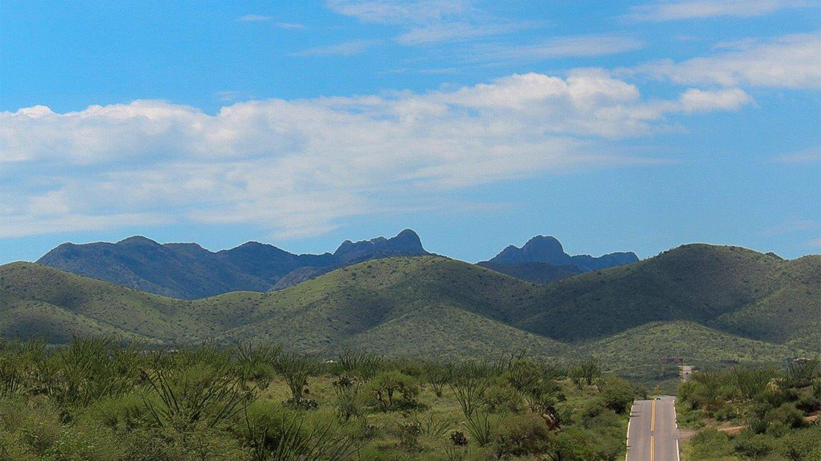 Experience the charm of The Cali, located within the peaceful Sycamore Vista community in the serene foothills of the Santa Rita Mountains, Arizona. This thoughtfully laid-out, single-story home offers 1,823 square feet of versatile living space designed to meet the needs of modern families.  Step into the inviting entryway, where you're welcomed by a spacious great room that serves as the heart of the home. The open-concept design connects the great room to the dining area and kitchen, creating a harmonious flow that's perfect for both entertaining and daily living. The kitchen is a true culinary haven, featuring a large island, granite countertops, and ample storage space with a walk-in pantry.  The Cali's four bedrooms are designed with relaxation in mind. The primary suite, tucked away from the other bedrooms, offers a private oasis complete with a walk-in closet and a well-appointed bathroom featuring dual vanities. The additional three bedrooms share a well-equipped bathroom and are situated to provide comfort and privacy for family members or guests.  Adding to the home's appeal are the premium standard features that come included in every Cali at Sycamore Vista. Enjoy the elegance of staggered wood-look ceramic tile flooring throughout the main living areas, complemented by Shaker-style cabinetry in the kitchen and bathrooms. The kitchen is further enhanced by an open single basin stainless steel sink paired with a water filtration system, making both cooking and cleanup a breeze. The energy-efficient design includes spray foam insulation, a tankless water heater, and LED lighting throughout, all contributing to lower utility costs and a more sustainable lifestyle.  Outdoor living is a breeze with the covered patio, easily accessible from the dining room, providing the perfect spot for morning coffee or evening gatherings. The three-car garage offers plenty of space for vehicles and storage, ensuring that everything you need is within easy reach.  Sycamore Vista's location offers a unique blend of tranquility and convenience, making The Cali an ideal choice for those seeking a peaceful retreat with easy access to modern amenities. Whether you're relaxing indoors or enjoying the outdoor beauty of Arizona, The Cali is a home that combines style, comfort, and functionality in every detail.