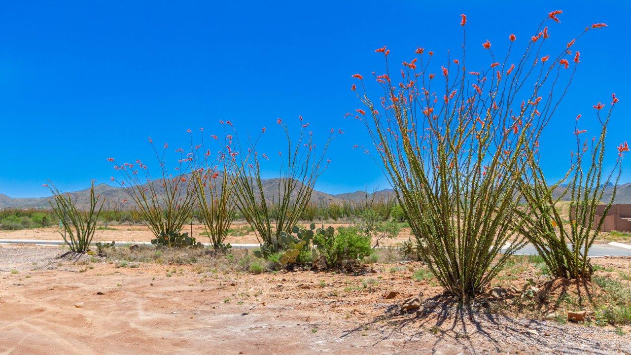 Welcome to the Kingston, a premier new home design situated in the picturesque Sycamore Vista community in Vail, Arizona. With an expansive 2,051 square feet of living space, this single-story home offers four bedrooms, two bathrooms, and a two-three car garage.  As you step inside, you are greeted by an inviting entryway that flows seamlessly into a heart of the home. The open-concept kitchen, equipped with a center island, modern appliances, and ample pantry space, makes it ideal for culinary adventures. Adjacent to the kitchen, the dining room offers easy access to the covered patio, where you can enjoy outdoor dining or simply relax in the tranquility of your private backyard.  The Kingston’s thoughtful layout ensures that every bedroom offers comfort and privacy. The primary suite, located at the rear of the home, features a large walk-in closet and an en-suite bathroom. The additional bedrooms are thoughtfully arranged to provide flexibility, whether you need a guest room, home office, or space for hobbies.  The Kingston is built with a focus on energy efficiency, featuring top-of-the-line insulation, energy-efficient appliances, and a smart home package that includes an automated thermostat, keyless entry, a Wi-Fi-enabled garage door opener, and more. This modern home not only offers comfort but also provides peace of mind with its energy-saving features and enhanced security systems.  Residents of Sycamore Vista enjoy a harmonious blend of rural tranquility and convenient urban access. With proximity to outdoor attractions like Coronado National Forest and Colossal Cave Mountain Park, as well as nearby schools and major employers, Sycamore Vista provides a unique living experience where nature and modern living coexist.  The Kingston at Sycamore Vista is more than just a house—it's a place to create lasting memories and live your best life.  *Images shown are for reference only. They depict the sales model home and may not represent the actual home.