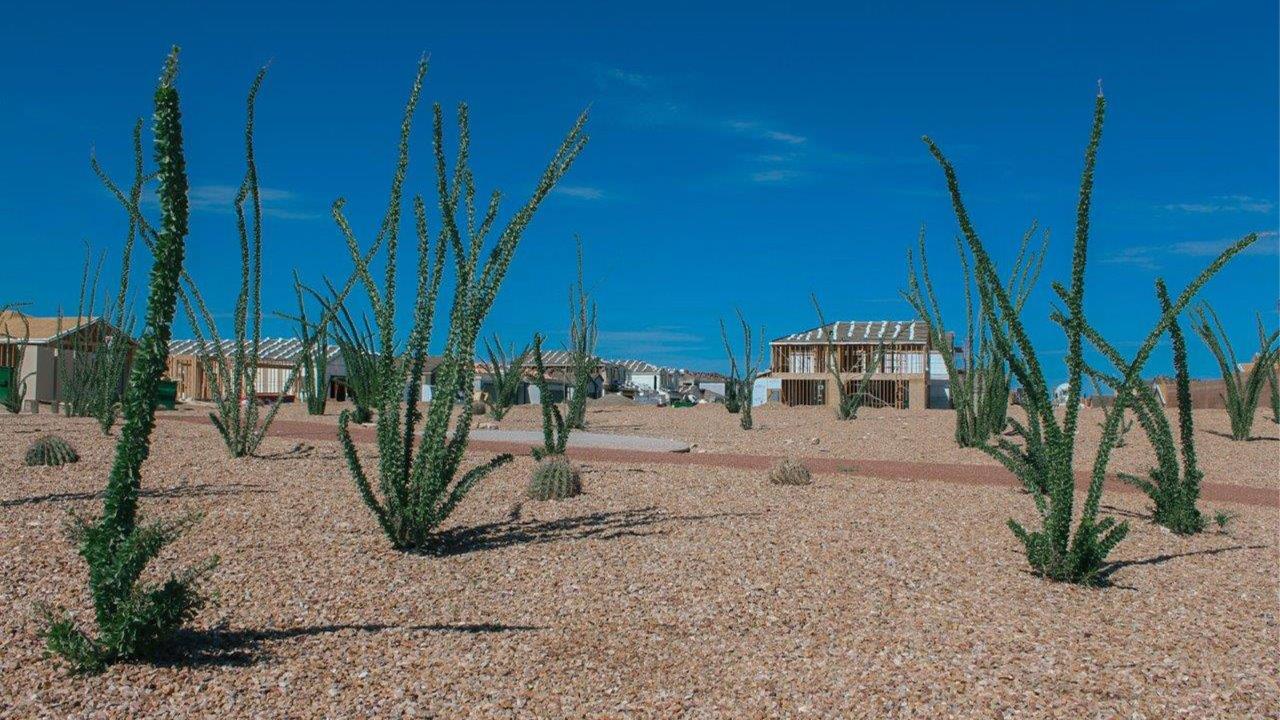 Step into The Denton at Hanson Ridge in Vail, Arizona - a thoughtfully crafted 1,590 sq. ft. single-story new home designed to offer a perfect harmony of comfort and desert elegance.  As you enter through the inviting front porch, you're welcomed into a bright and airy entry space that flows seamlessly into the great room, dining area, and kitchen. This open-concept design is perfect for both casual family living and entertaining. The kitchen, with its Quartz countertops, modern appliances, and a convenient pantry, is both stylish and functional, making meal preparation a breeze.  The primary suite, located at the rear of the home, provides a private retreat with a spacious bedroom, a large walk-in closet, and an en-suite bathroom featuring large vanity with sink or double optional sink, walk-in shower, and walk-in closet.  Whether you’re planning to create a dream outdoor oasis or simply enjoy the natural surroundings, this space offers endless possibilities. Built with modern living in mind, The Denton floor plan includes D.R. Horton’s Home is Connected® Smart Home package, featuring a smart thermostat, video doorbell, keyless entry, and a Wi-Fi enabled garage door opener. Energy efficiency is also a priority, with spray foam insulation and designs that meet the DOE Zero Energy Ready Home standards, ensuring long-term savings and environmental benefits.  Located within the serene Hanson Ridge community, residents of The Denton enjoy the luxury of space combined with easy access to urban amenities. Come home to The Denton, where comfort, style, and the beauty of Arizona living come together in perfect harmony.  *Images shown are for reference only. They depict The Denton model home and may not represent the actual home.