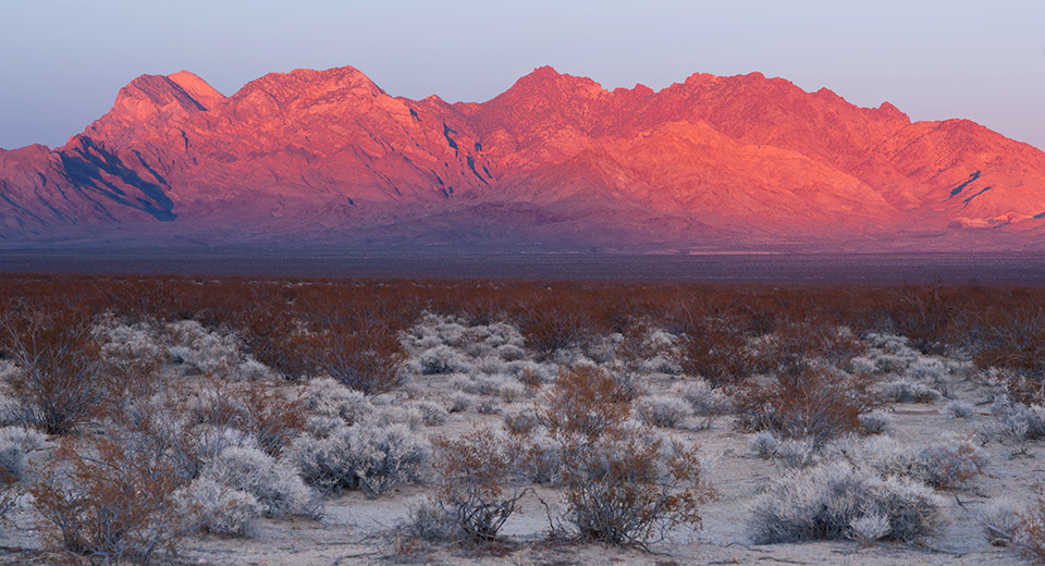 New Homes in Seneca Pointe III Adelanto, CA Express Series