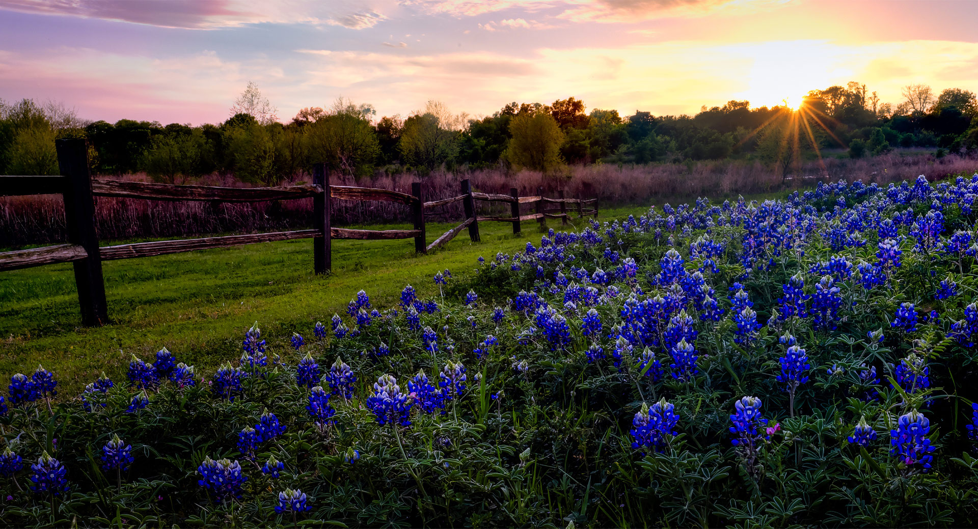 New Homes in The Parks of Alvarado ALVARADO, TX Tradition Series