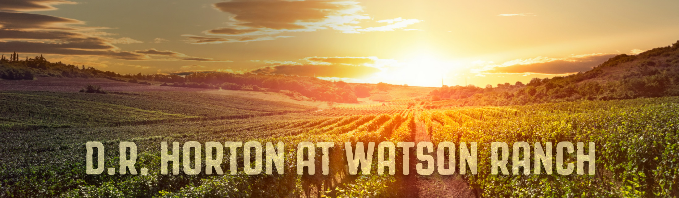 DR Horton Watson Ranch